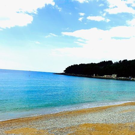 Philoxenia Guest House Χειμάρρα Εξωτερικό φωτογραφία