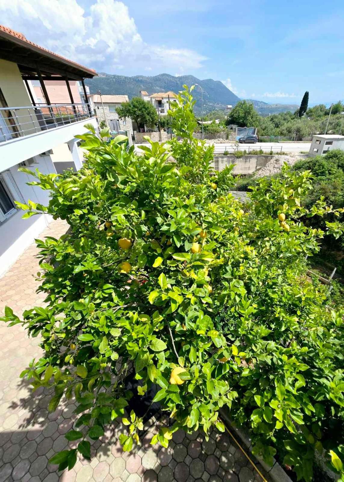 Philoxenia Guest House Χειμάρρα Εξωτερικό φωτογραφία