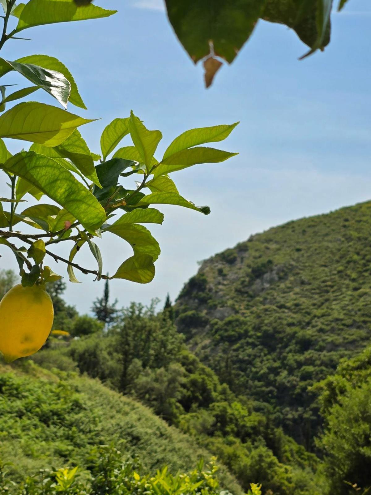 Philoxenia Guest House Χειμάρρα Εξωτερικό φωτογραφία