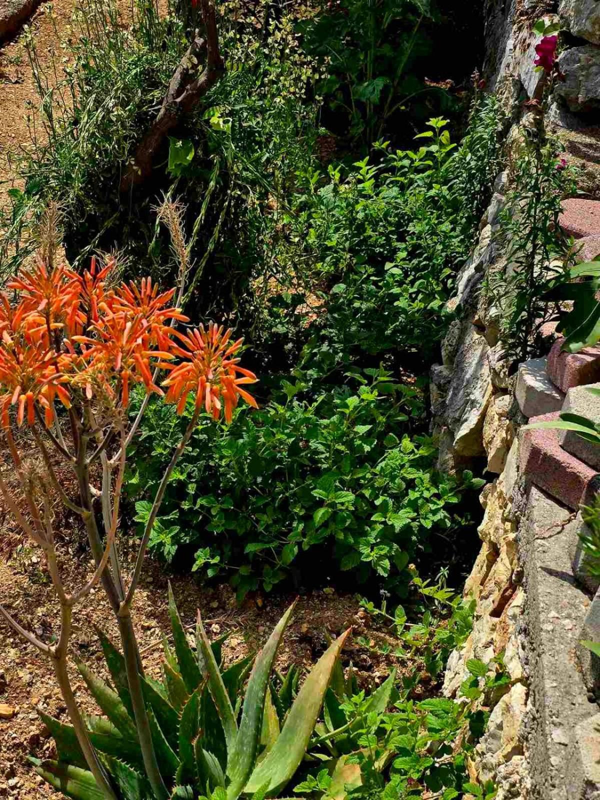 Philoxenia Guest House Χειμάρρα Εξωτερικό φωτογραφία