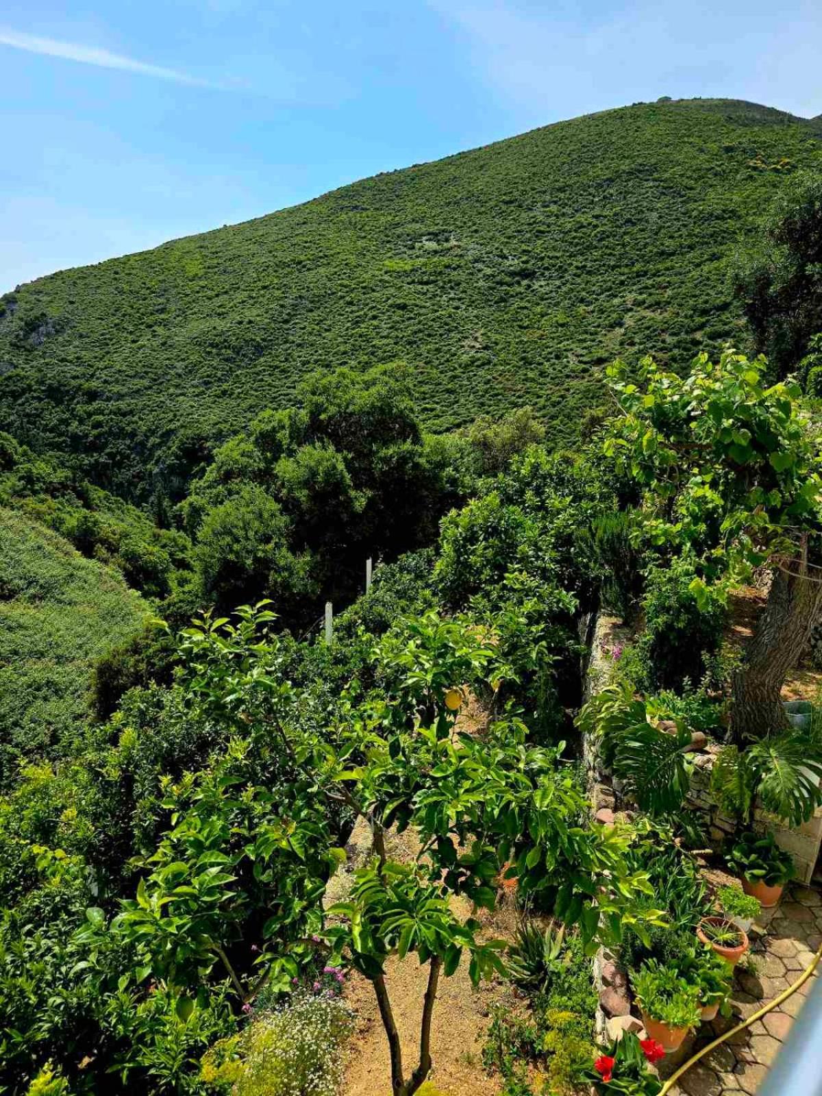 Philoxenia Guest House Χειμάρρα Εξωτερικό φωτογραφία